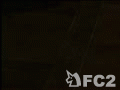 アダルト動画：【F－1】　極上女　ボンテージ緊縛　顔（無修正）